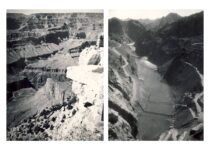 Images of nature. Moments of a trip to the USA, 1936 (Prof. S. Kolupaila, original photograph is at KTU Museum)