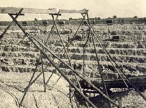 Quarries of the company “Kalkės” near Akmenė, 1935 (from Sasnauskai family archive)