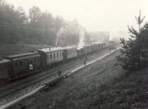 At Paneriai tunnel. The first train from Kaunas waits for permission to enter Vilnius railway station, 28 October 1939 (photograph by Prof. S. Kolupaila, KTU Museum)
