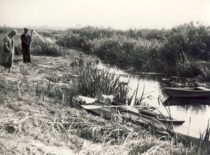 Bambena Creek, 1938 (photograph by Prof. S. Kolupaila, KTU Museum)