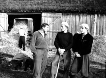 Voluntary work at the collective farm, 1957. (photograph by Konstantinas Sasnauskas, KTU museum)